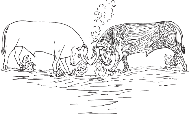 Джатаки. Сказания о Будде. Том II - i_001.png