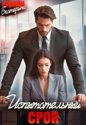  Кариди Екатерина Руслановна - Испытательный срок (СИ)