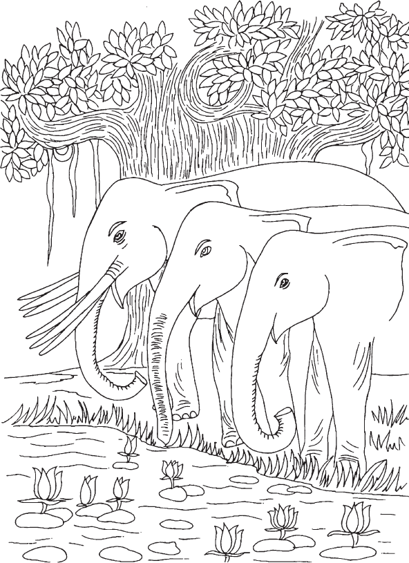 Джатаки. Сказания о Будде. Том III - i_004.png