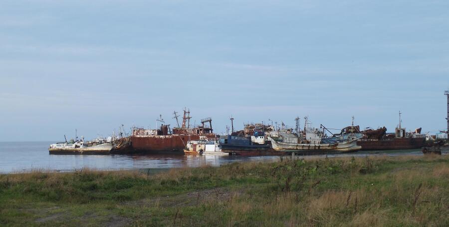 Харза из рода куниц (СИ) - img_19