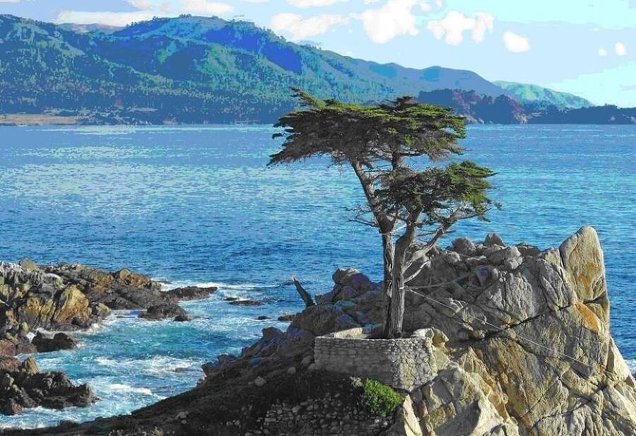 Харза из рода куниц (СИ) - img_14