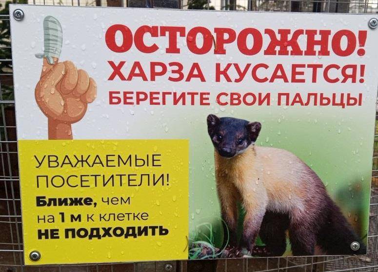 Харза из рода куниц (СИ) - img_35