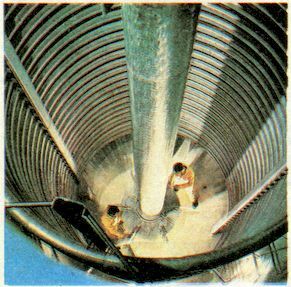 От пекарни до биофабрики. Обзор достижений биотехнологии - image0050.jpg