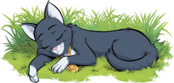 Котектив. Дом с привидениями - i_010.jpg