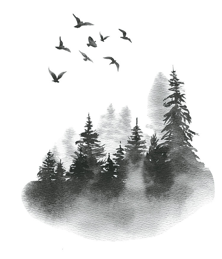 Кастильмо. Город сгоревшей магии - i_003.jpg