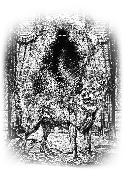 Дракула. Самая полная версия - i_014.jpg