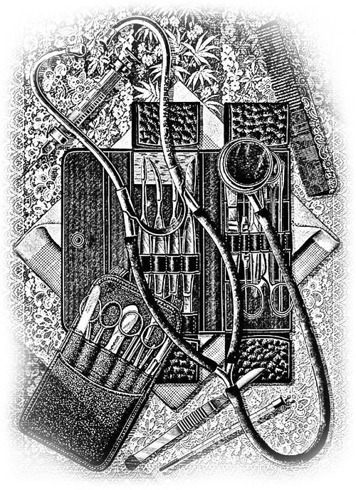 Дракула. Самая полная версия - i_015.jpg
