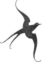 Невероятные создания. Сфинкс, дракон и девочка с птицей - i_015.jpg