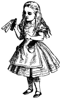 Алиса в Стране Идей. Как жить? - i_001.jpg