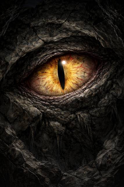 Изгой Высшего Ранга IV (СИ) - img_8