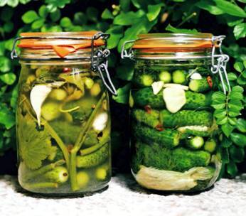 В рот круглый год - pic_4.jpg