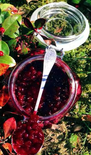 В рот круглый год - pic_53.jpg