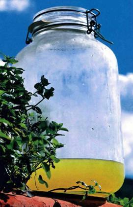 В рот круглый год - pic_67.jpg