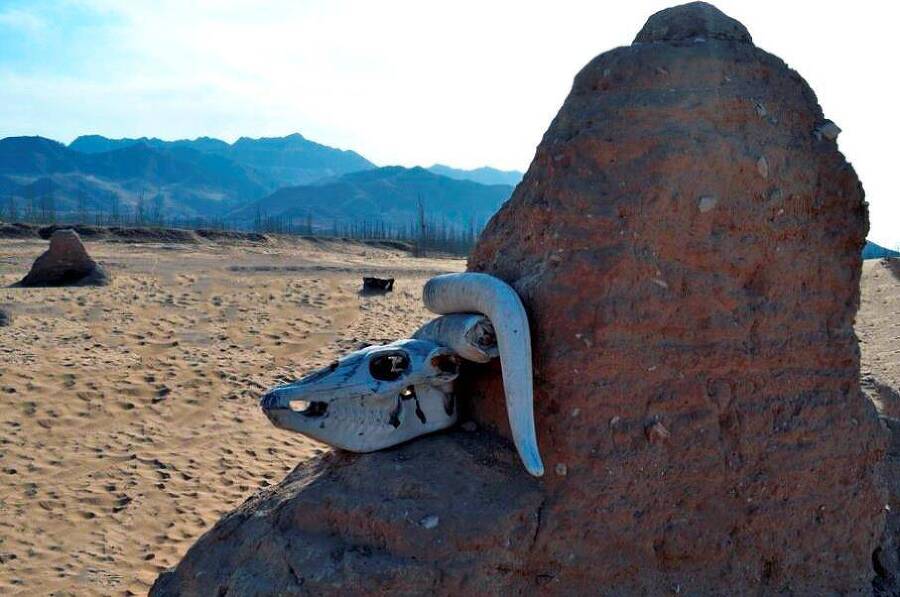 Ворона на взводе (СИ) - img_9