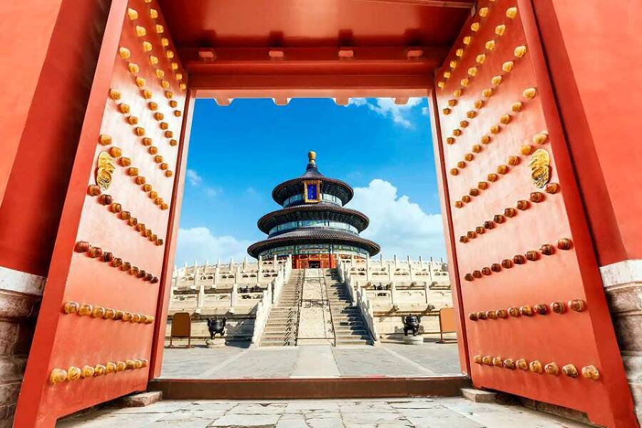 Бионическая ворона (СИ) - img_60