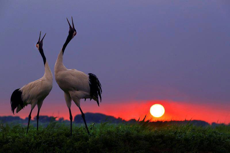 Бионическая ворона (СИ) - img_37