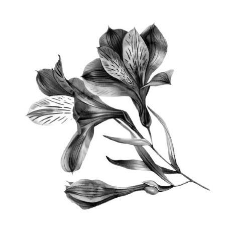 Пурпурная Земля - i_001.jpg