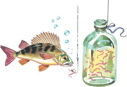 Торопливый ножик. Рассказы - i_022.jpg