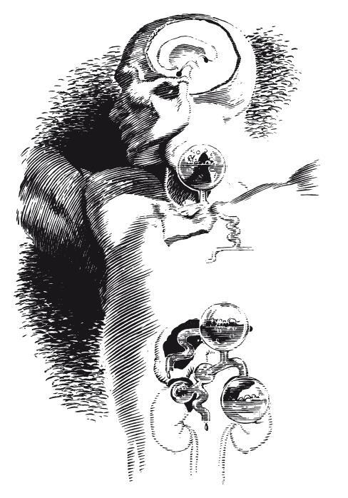 Человеческий мозг. От аксона до нейрона - i_003.jpg