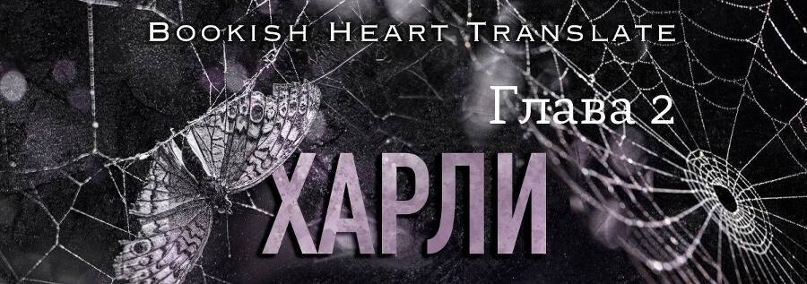 Последняя ошибка (ЛП) - img_5