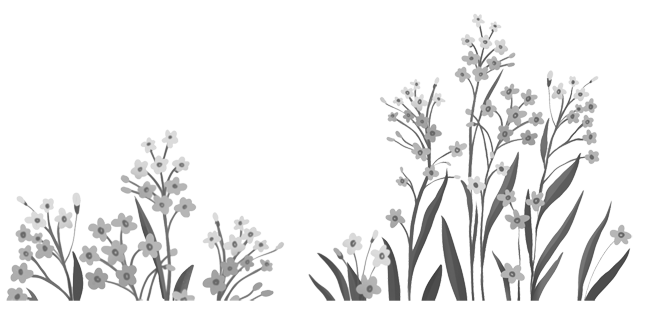 Ведьма Запада мертва (сборник) - i_003.png