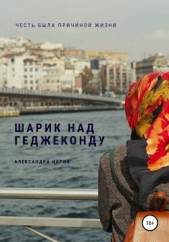 Шарик над геджеконду - автор Нарин Александра 