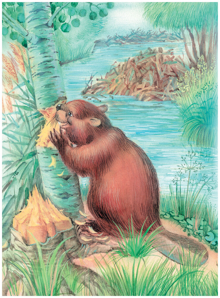 Большая книга сказок - i_002.jpg