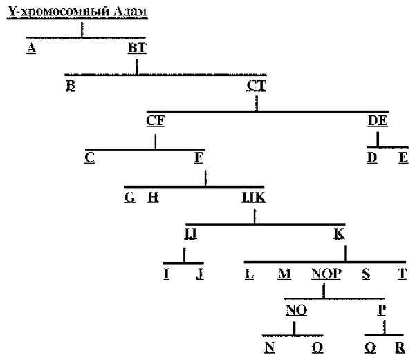 Запрещенная Русь. 10 тысяч лет нашей истории – от Потопа до Рюрика - _35.jpg