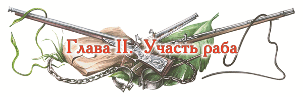 Одиссея капитана Блада - i_005.png