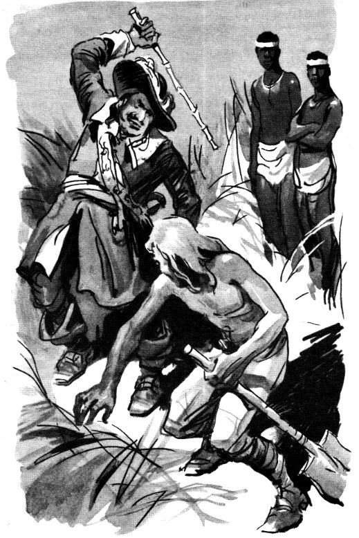 Одиссея капитана Блада. Хроника капитана Блада - pic_6.jpg