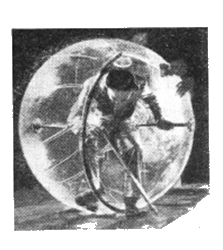 Искатель, 1961 №1 - i_031.png