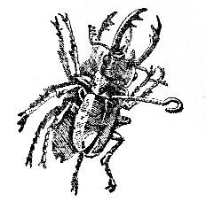 Невидимый свет. Мертвая голова - ScanImage0091.jpg