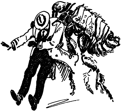 Том 8. Рассказы - i_017.png