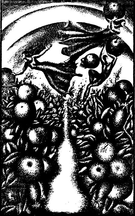 У светлого яра Вселенной(сб.) - i_011.png