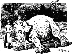 Хойті-Тойті - doc2fb_image_03000006.png