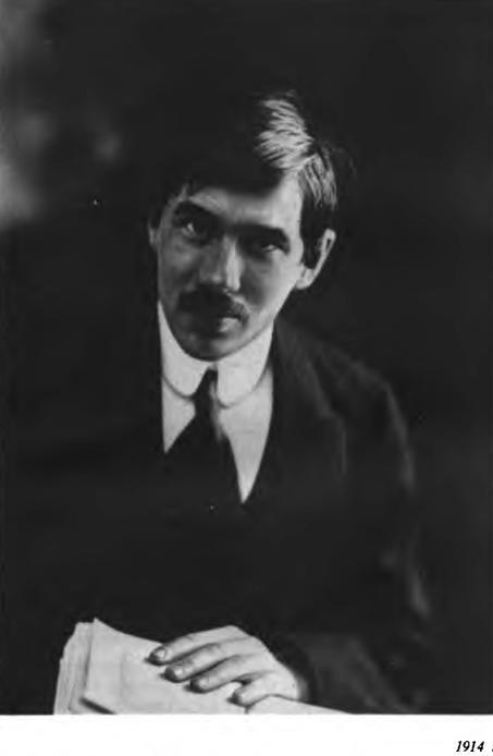 Критические рассказы - i_002.jpg