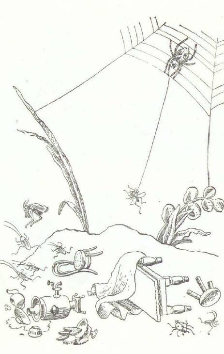 Сказки (иллюстрации Конашевича В.М.) - _59.jpg