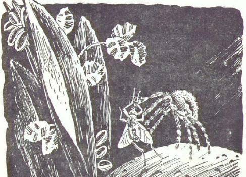 Сказки (иллюстрации Конашевича В.М.) - _62.jpg