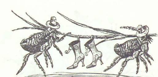 Сказки (иллюстрации Конашевича В.М.) - _54.jpg