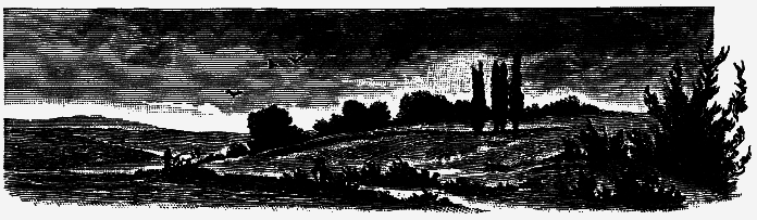 Поэтессы Серебряного века (сборник) - _018.png