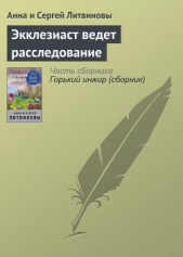 Экклезиаст ведет расследование - автор Литвиновы Анна и Сергей 