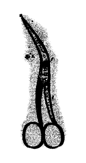 Проклятье вендиго - i_002.png