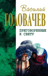 Кто мы? Зачем мы? Опыт трансперсонального восприятия - автор Головачев Василий Васильевич 