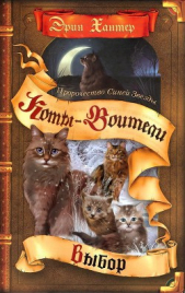 Выбор - автор Хантер Эрин 