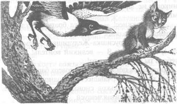 Западня - pic_6.jpg