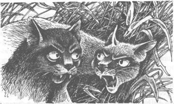 Прозрение - pic_16.jpg