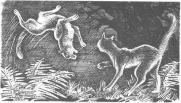 Прозрение - pic_22.jpg