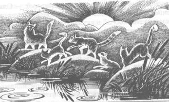 Прозрение - pic_34.jpg