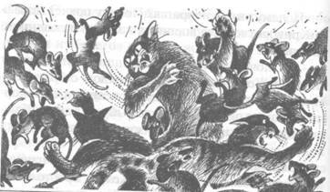 Прозрение - pic_36.jpg