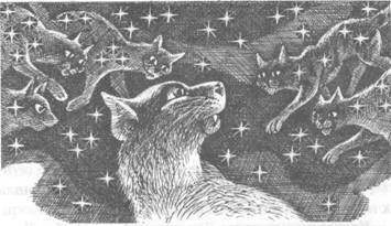 Прозрение - pic_38.jpg